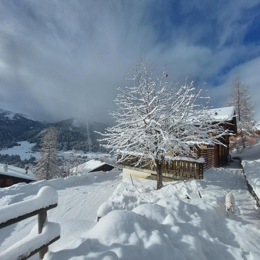 Chambre D'Hotes L'Ours Bleu Les Diablerets Eksteriør billede