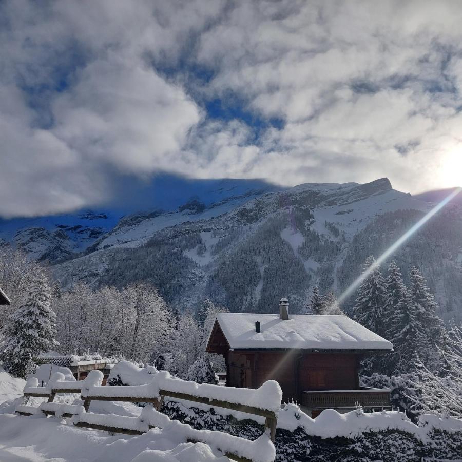 Chambre D'Hotes L'Ours Bleu Les Diablerets Eksteriør billede